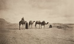 December 2nd, 2015 - January 22nd, 2016 - Desert Grains. A century of Czech Orientalist photography